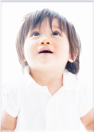 免震の導入費用